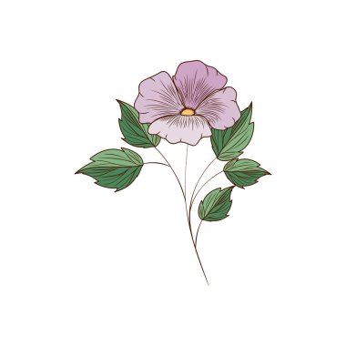 güzel çiçeklerle yapraklar izole simgesi