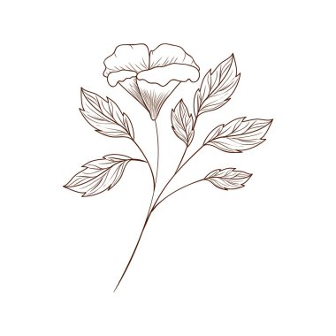 güzel çiçeklerle yapraklar izole simgesi