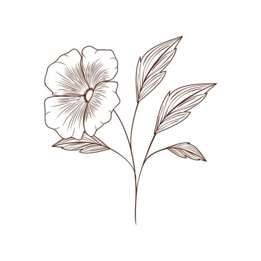 güzel çiçeklerle yapraklar izole simgesi