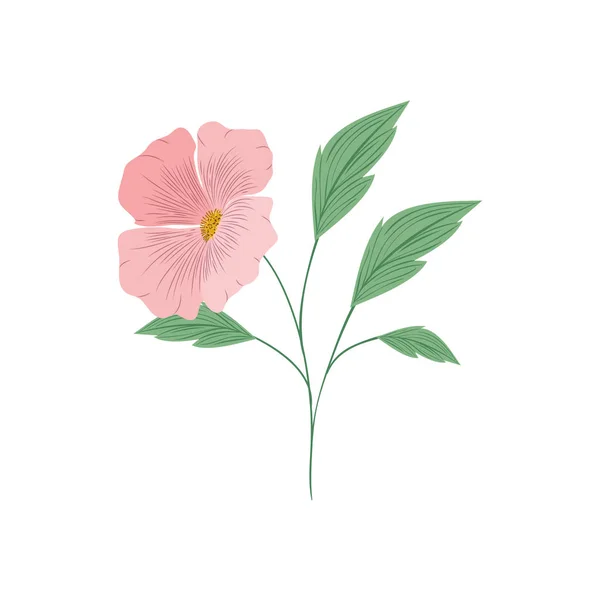 Mooie bloemen met blaadjes geïsoleerde pictogram — Stockvector