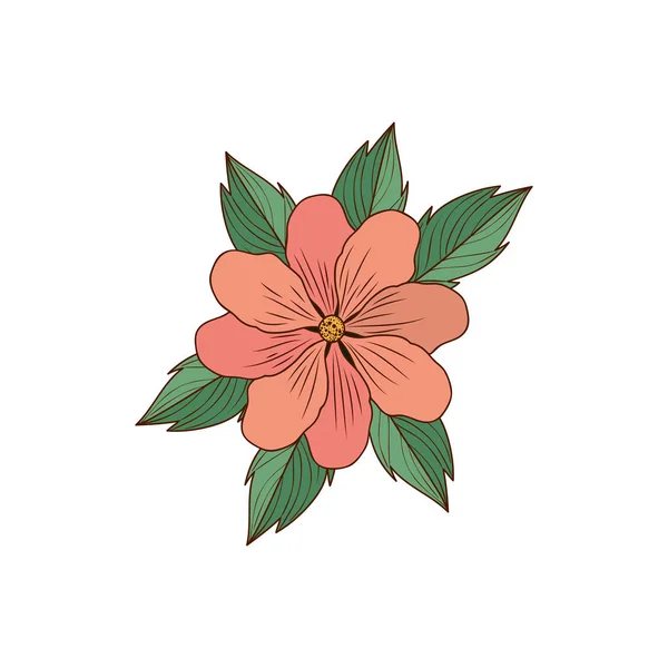 Красивые цветы с листочками изолированная икона — стоковый вектор