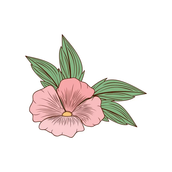 Bellissimi fiori con foglie icona isolata — Vettoriale Stock