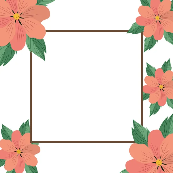 Frame met bloemen en blaadjes van geïsoleerde pictogram — Stockvector