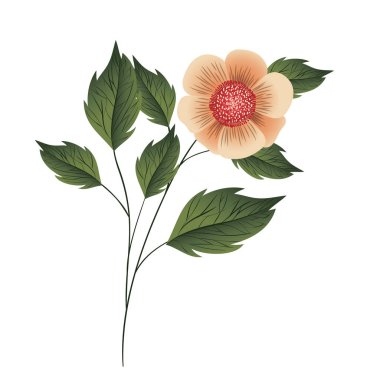 güzel çiçek ile izole simgesi yapraklar