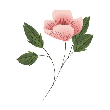 güzel çiçek ile izole simgesi yapraklar