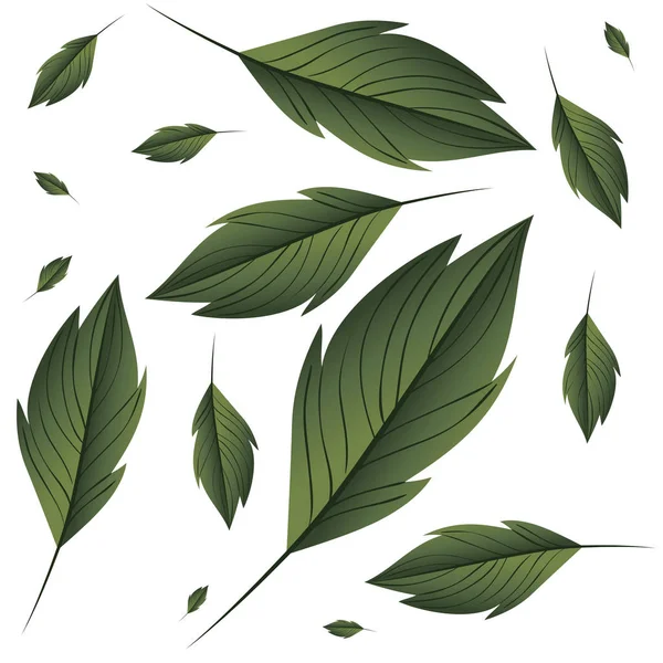 枝、葉のアイコンのパターン — ストックベクタ