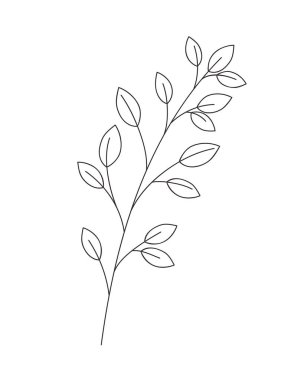 Yapraklı ayrık simge