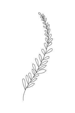 Yapraklı ayrık simge