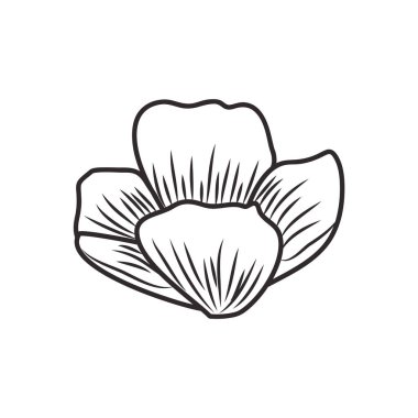 güzel çiçek ile izole simgesi yapraklar