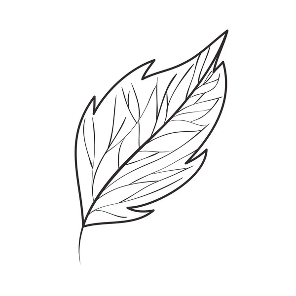 Oddział z liść na białym tle ikona — Wektor stockowy