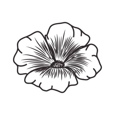 güzel çiçek ile izole simgesi yapraklar