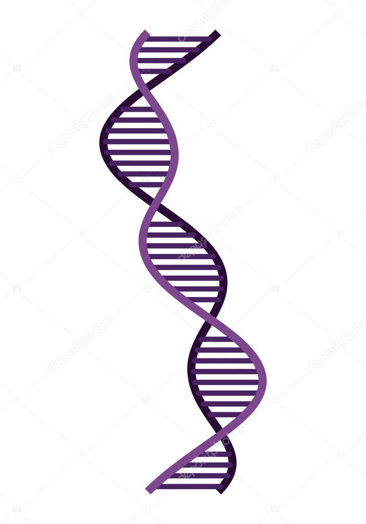 vertical dna chain science colorful icon