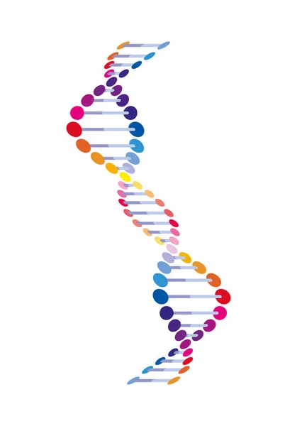Вертикальная цепь ДНК цветная икона — стоковый вектор
