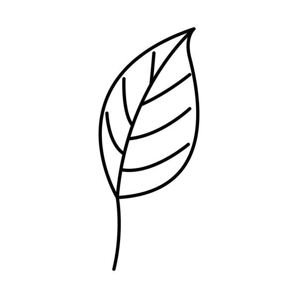 Ikona listu ekologie rostlin — Stockový vektor