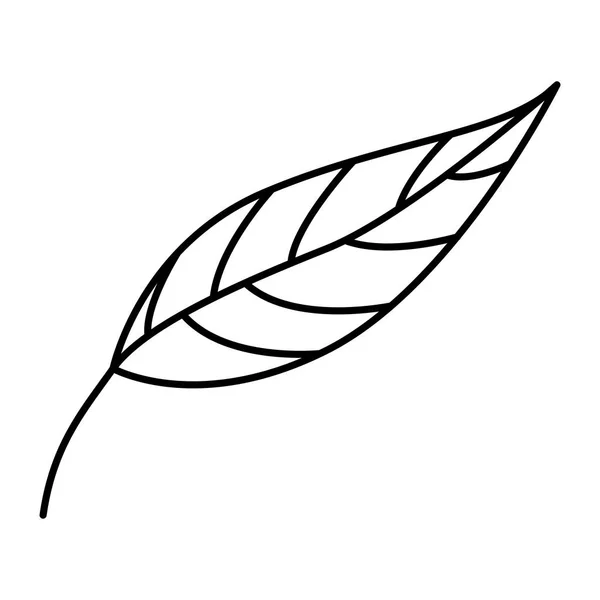 Folha ícone de ecologia de plantas — Vetor de Stock