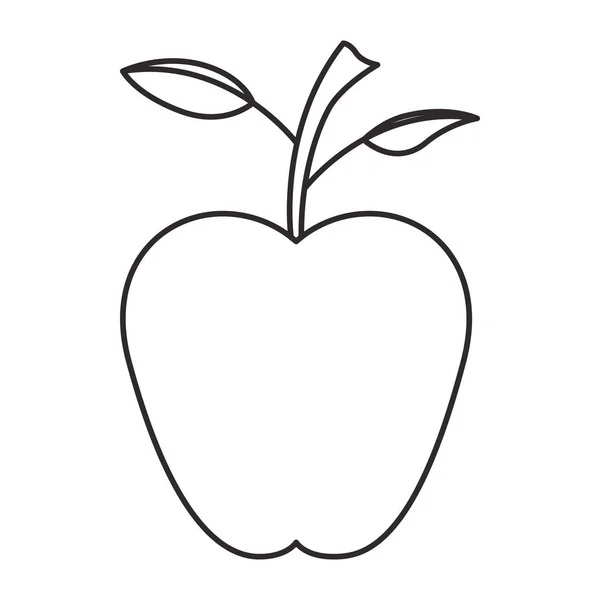 Elma taze meyve sağlıklı — Stok Vektör
