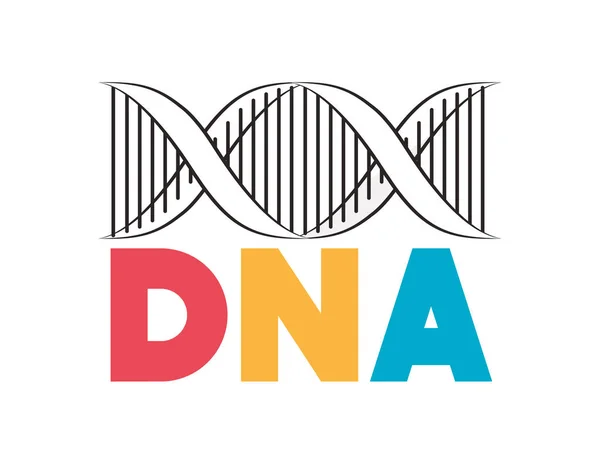Věda o DNA řetězu-ikona — Stockový vektor