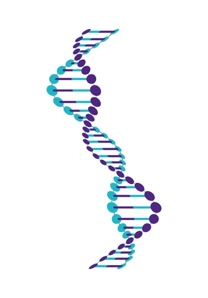 Cadena de ADN vertical ciencia icono colorido — Archivo Imágenes Vectoriales