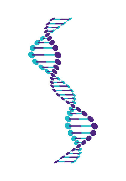 vertical dna chain science colorful icon