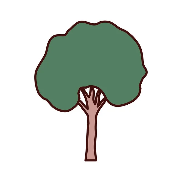 Tall tree isolated icon — Stock Vector
