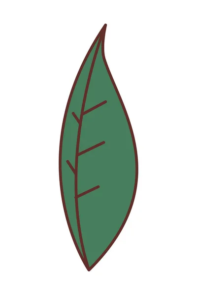 Hermoso icono de hojas aisladas — Archivo Imágenes Vectoriales
