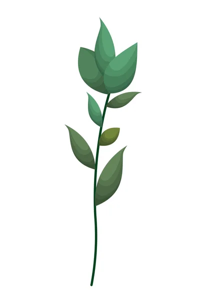 孤立した葉のアイコンを持つ枝 — ストックベクタ