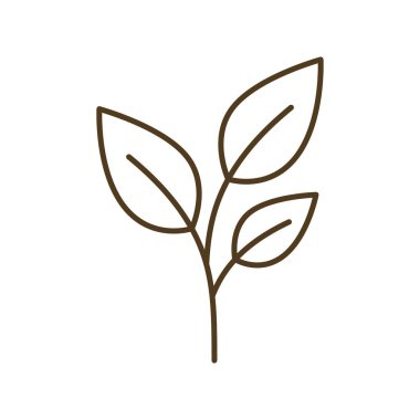 yaprak izole ağaç şube simgesi