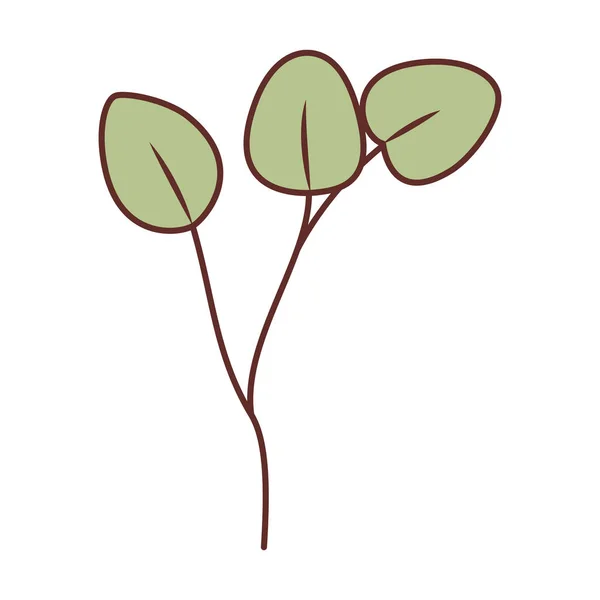 Zweig mit Blättern isolierte Ikone — Stockvektor