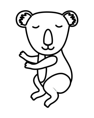 vahşi Koala izole simge