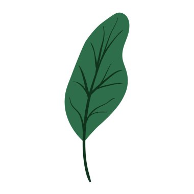 yaprak bitki ekoloji simgesi