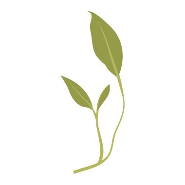 Yaprak ekoloji simgesine sahip dal