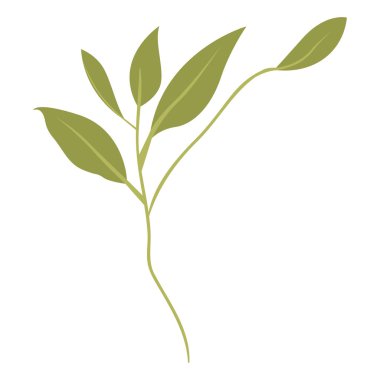 Yaprak ekoloji simgesine sahip dal