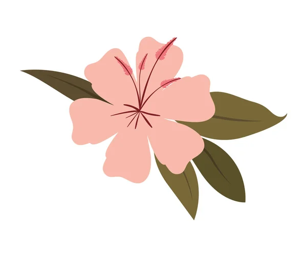 아름 다운 꽃과 잎 정원 — 스톡 벡터