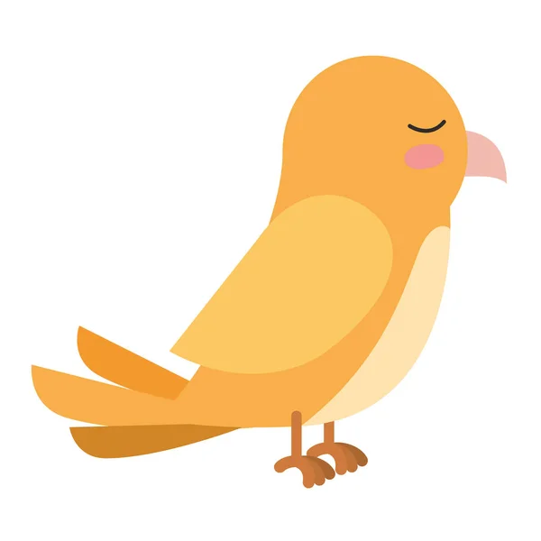 Icône isolée oiseau mignon — Image vectorielle