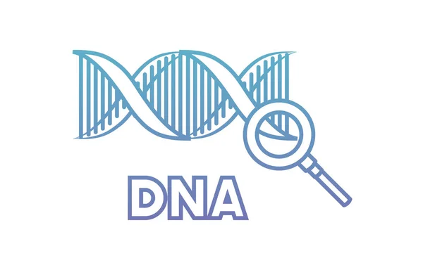 DNA řetěz s zvětšovací sklenicí — Stockový vektor