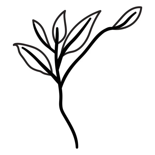 Zweig mit Blättern Ökologie-Symbol — Stockvektor