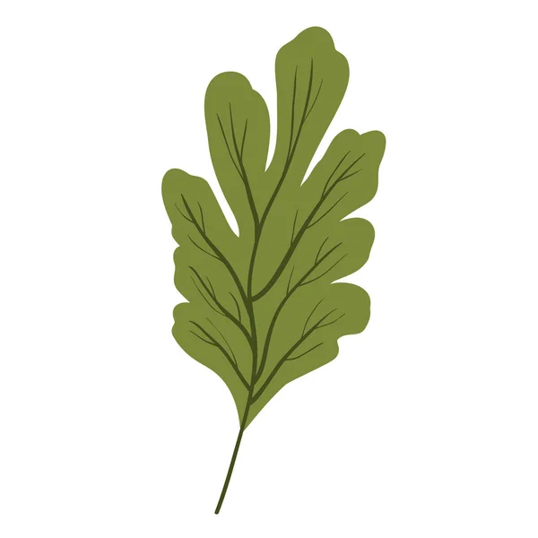 叶植物生态学图标 — 图库矢量图片