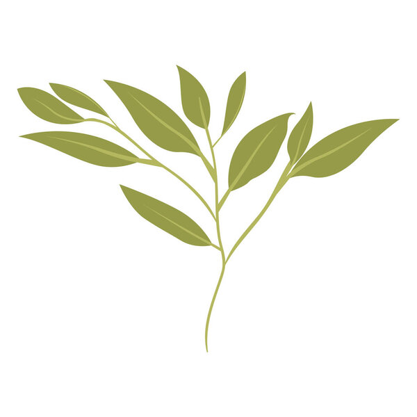 branch with leafs ecology icon