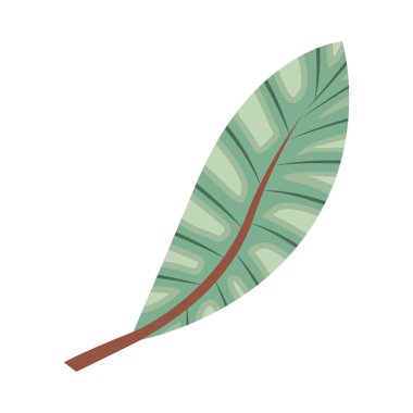 yaprak bitki ekoloji simgesi