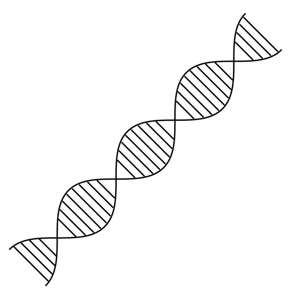 Cadena de ADN diagonal ciencia monocromo — Vector de stock