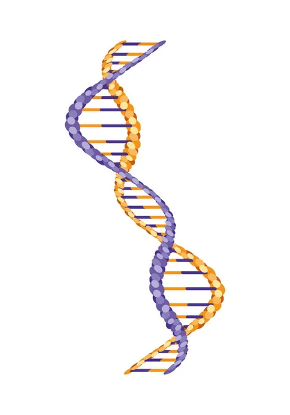 Vertical dna chain science icon — Stock Vector