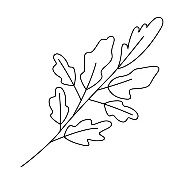 Ág levelekkel ökológia ikon — Stock Vector
