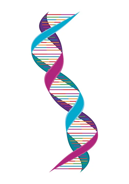 Łańcuch DNA nauka pionowa ikona kolorowy — Wektor stockowy