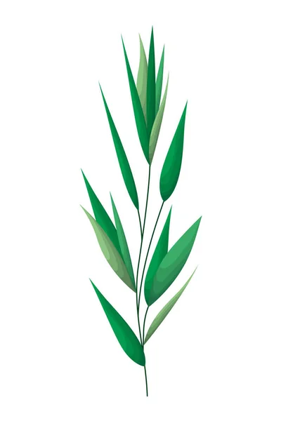 Gren med blad isolerad ikon — Stock vektor