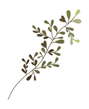 Yaprak ekoloji simgesine sahip dal