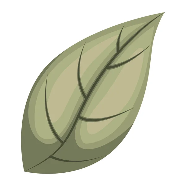 Hoja planta ecología icono — Vector de stock