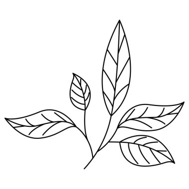 Yaprak ekoloji simgesine sahip dal