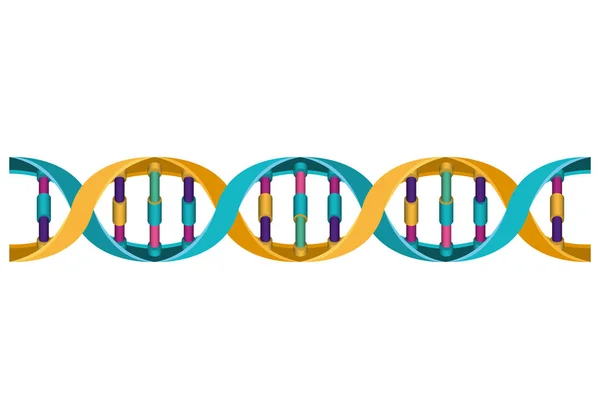 Horizontale DNA-Kette Wissenschaft buntes Symbol — Stockvektor