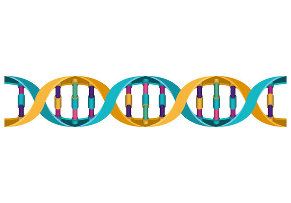 horizontal dna chain science colorful icon