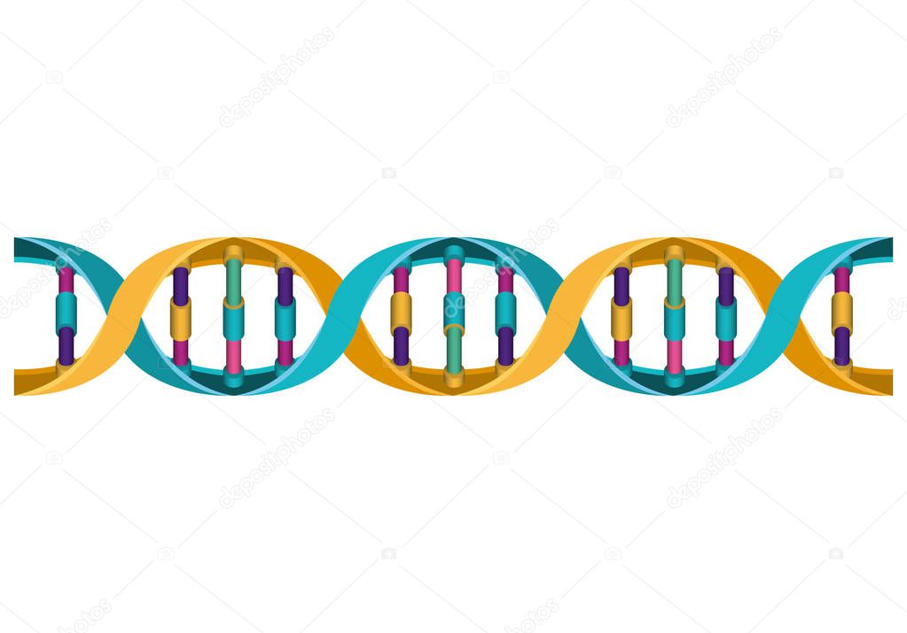horizontal dna chain science colorful icon